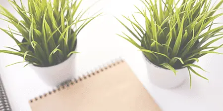 appointments pad with plants